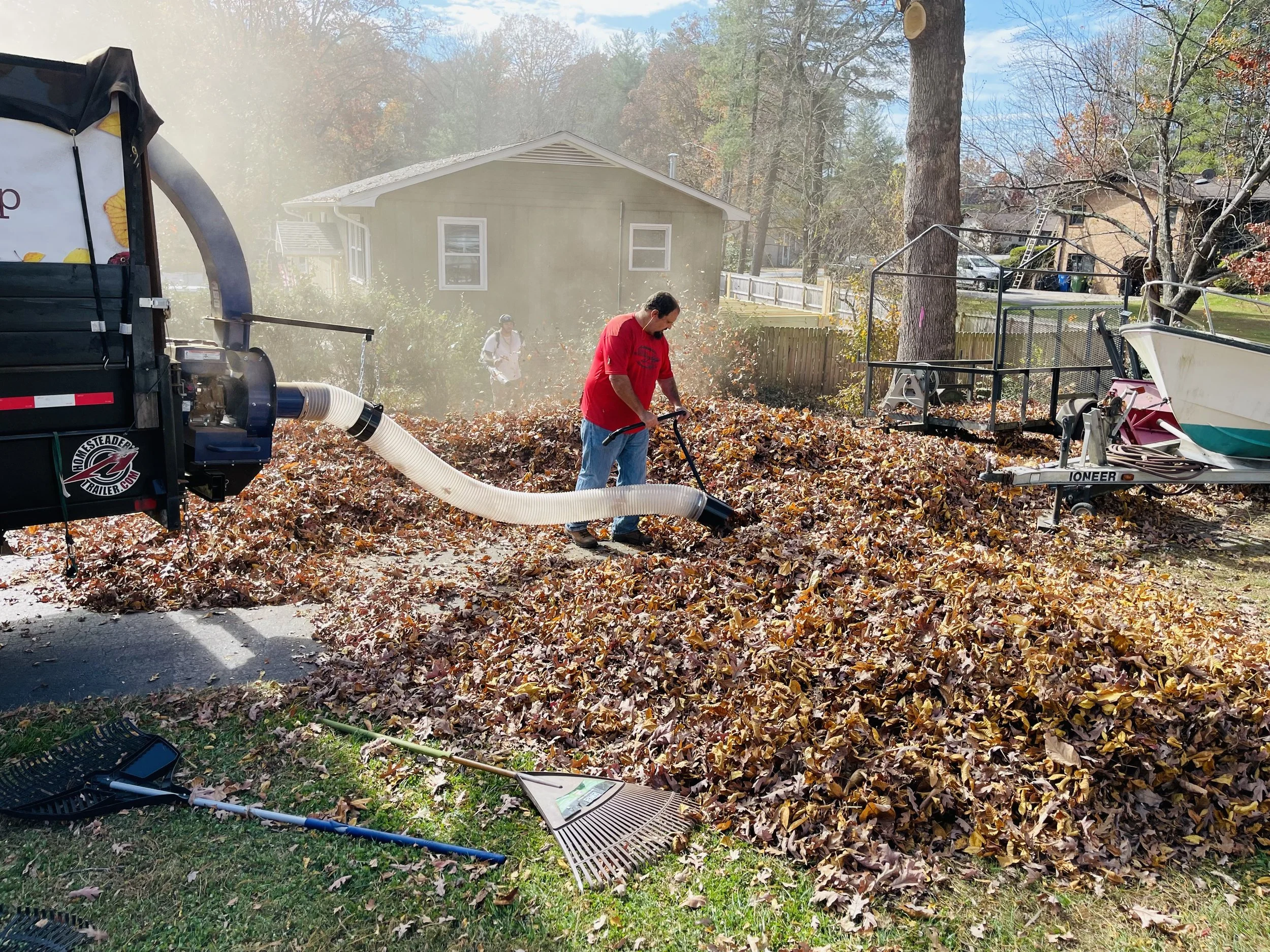 Landscaping services in Bristow