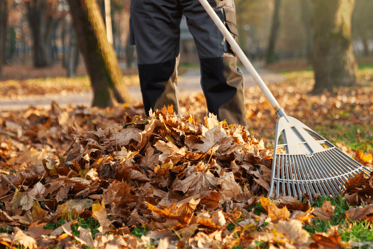 Landscaping services in Bristow